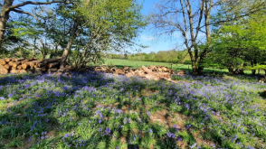 Land for sale in Rickmansworth photo